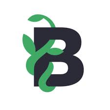 Beanstalk Web Solutions